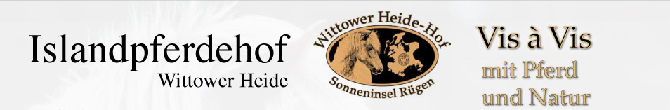 Islandpferdehof Wittower Heide - Rügen